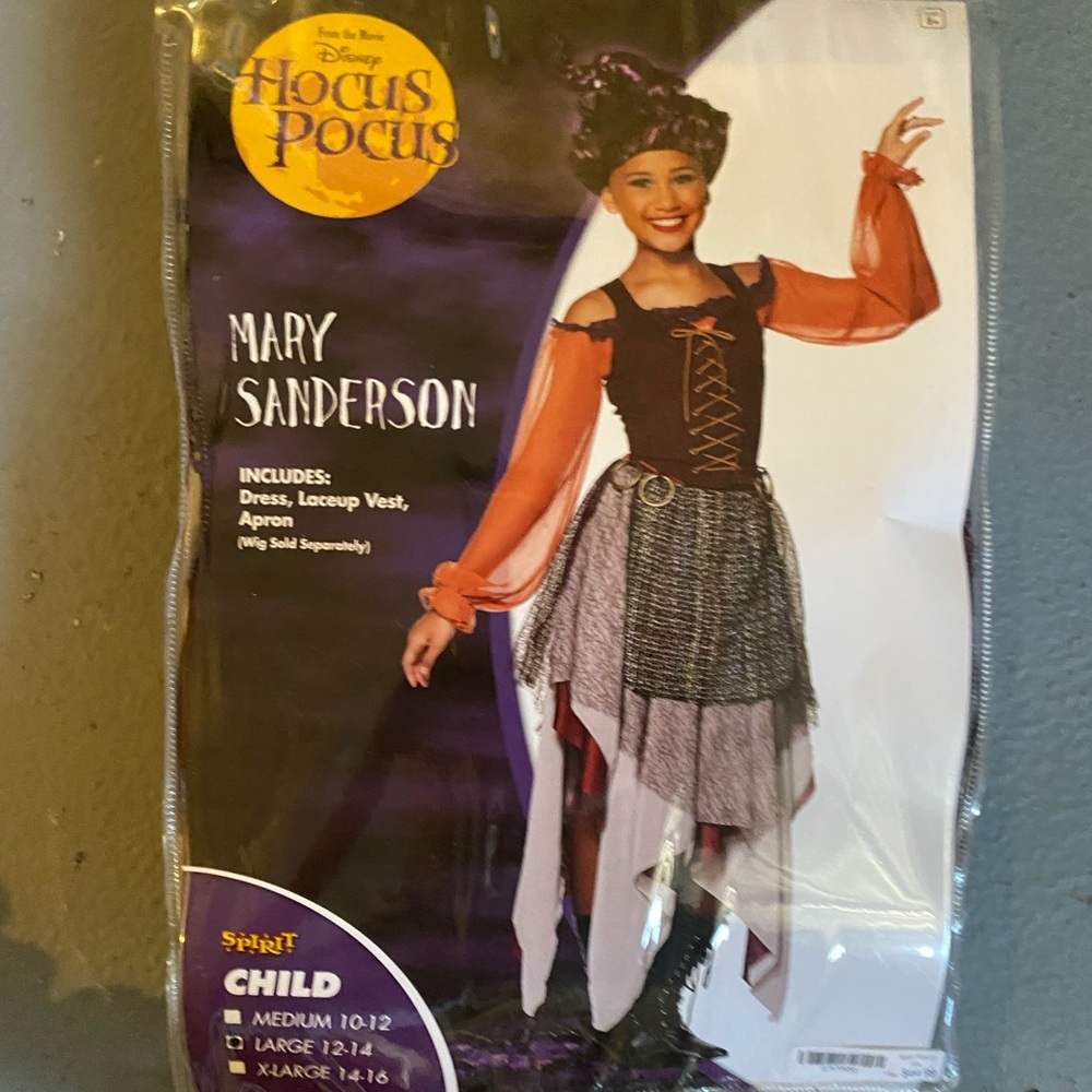 Mary Sanderson- kids size hocus pocus